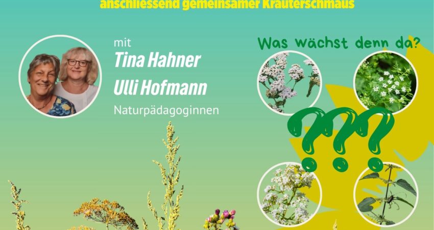 Kräuterwanderung Elsheim - Kräuterwanderung